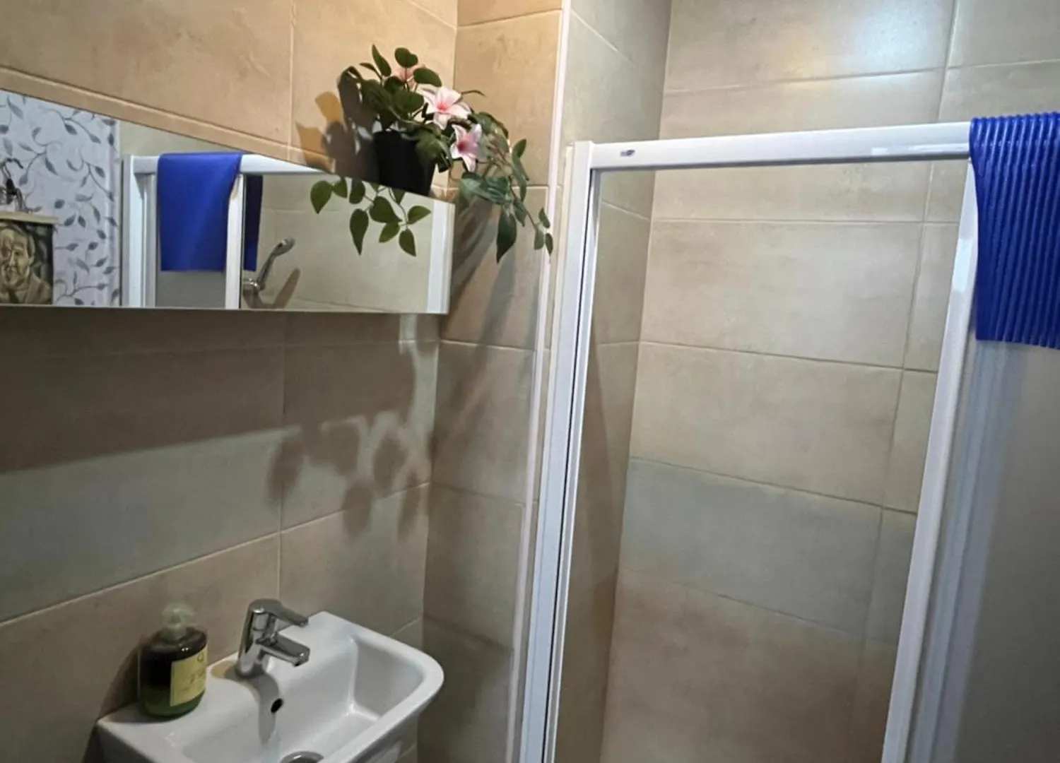 Guest house Habitacion En Calle Molino Malaga Spain